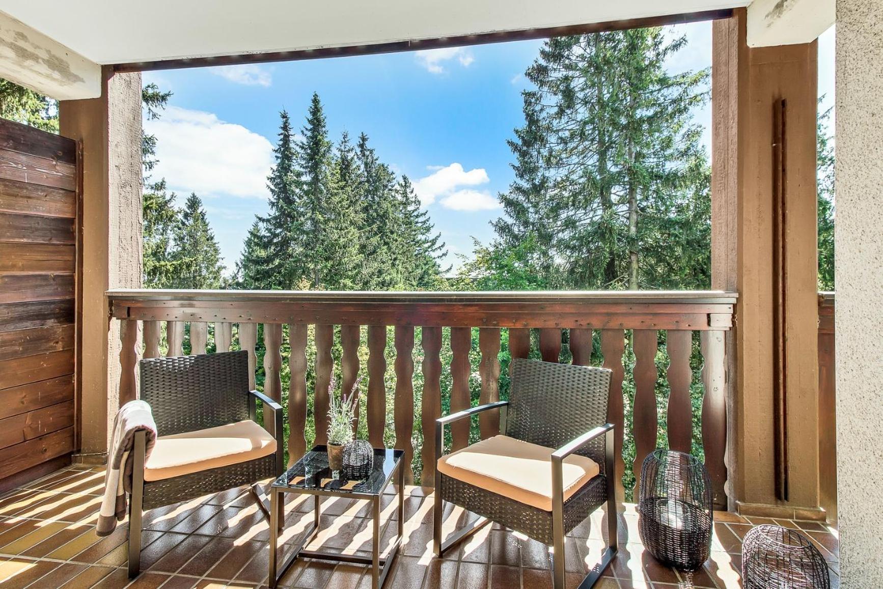 2 Bedroom Apartment Tokio And Sauna, 100M To Ski And Bikepark Winterberg Exterior foto
